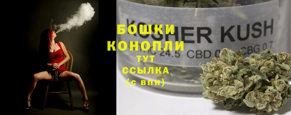 PSILOCYBIN Белокуриха