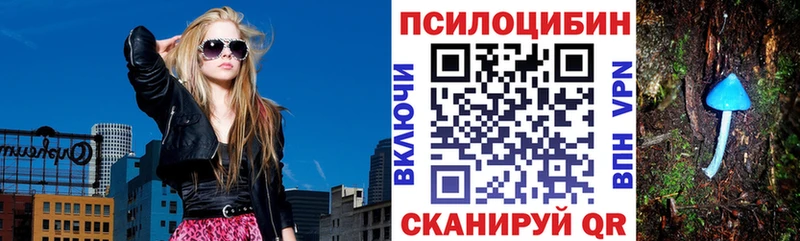 кракен tor  Феодосия  Галлюциногенные грибы Psilocybe 
